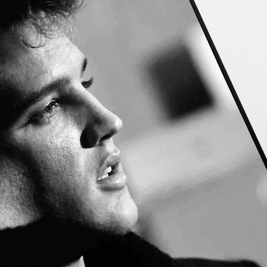 Elvis Presley A3 wall art poster |  IF I CAN DREAM