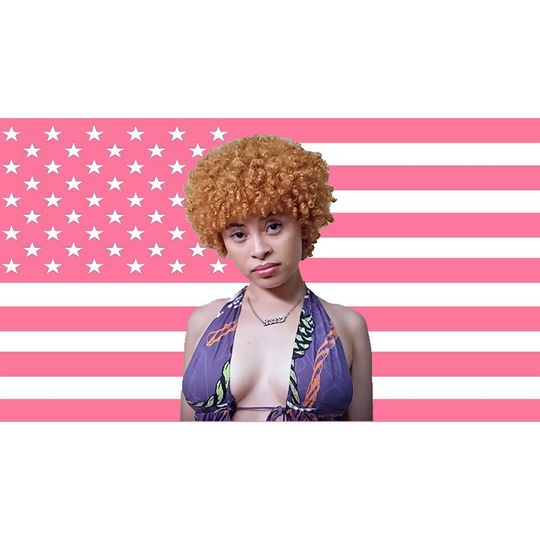 Ice Spice Flag, Munch Flag, Ice Spice Tapestry Pink American