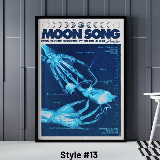 Phoebe Bridgers Punisher Poster, 6 Different Phoebe Bridgers Posters