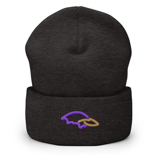 Baltimore Minimalist Design Embroidered Cuffed Beanie American Football Hat