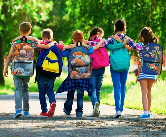 Tropical Fish Tank Backpack v1