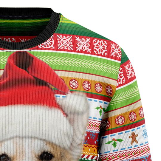 Custom Corgi Christmas Sweater, Personalized Dog Christmas Sweater