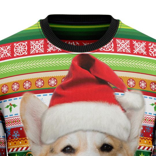 Custom Corgi Christmas Sweater, Personalized Dog Christmas Sweater