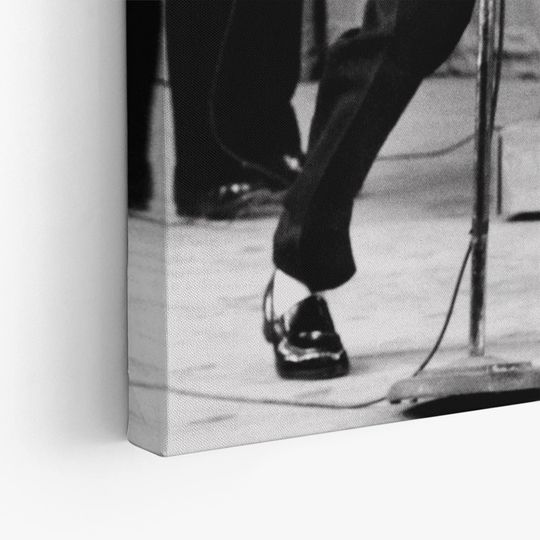 Elvis Presley  Rock and Roll Canvas Wall Art Print