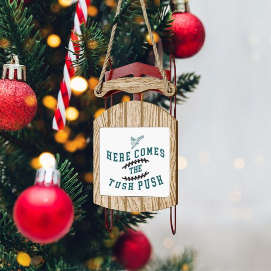Eagles Ornament, Christmas Sled Ornament, Philly Football Fan Gift
