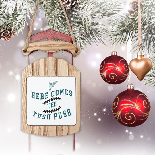 Eagles Ornament, Christmas Sled Ornament, Philly Football Fan Gift