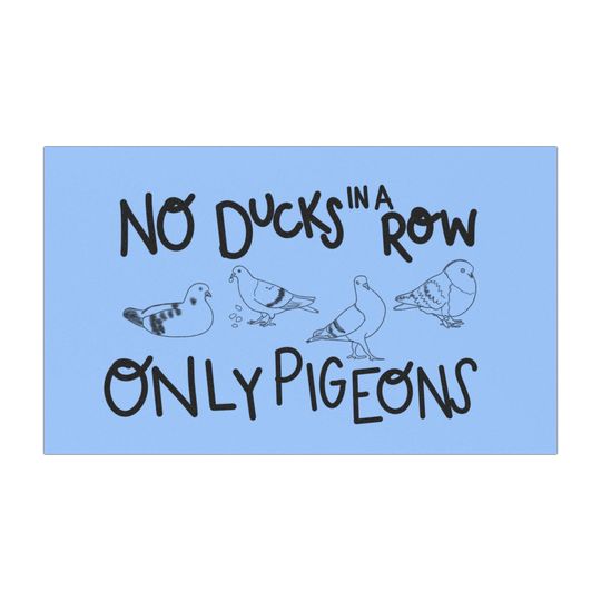 No Ducks in a Row Only Pigeons Car Magnet