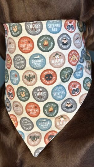 Adventure Buddy  Dog Scrunchie Bandana