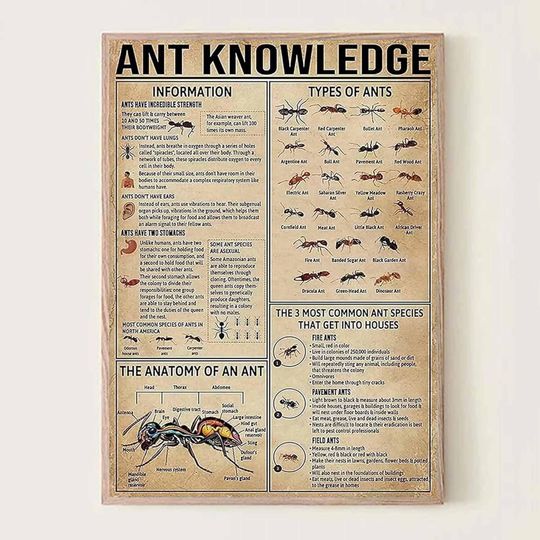 Ant Knowledge Poster - Educational Insect Chart for Biology Classroom Decor, Vintage Science Wall Art