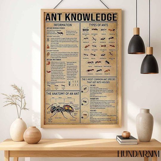 Ant Knowledge Poster - Educational Insect Chart for Biology Classroom Decor, Vintage Science Wall Art