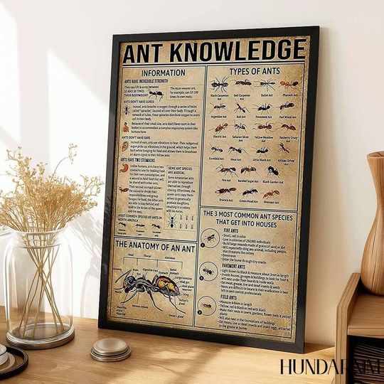 Ant Knowledge Poster - Educational Insect Chart for Biology Classroom Decor, Vintage Science Wall Art