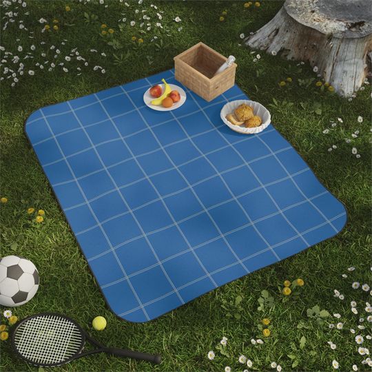 Blue & Gray Windowpane Picnic Mat, Classic Preppy Park Beach Camping Throw, Gift