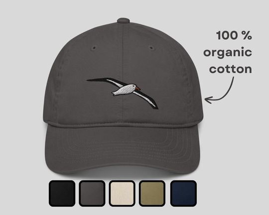 The Albatross Cap Organic Dad Hat TTPD
