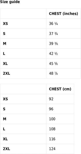 Seattle Seahawks Inspired Men's Crew Neck T-Shirt