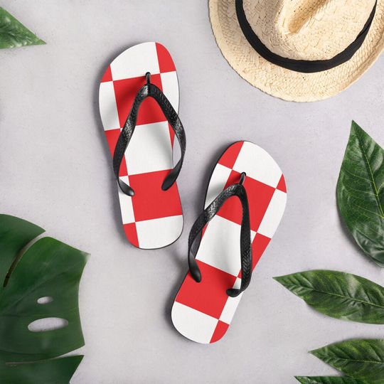 Flip-Flops
