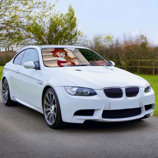 Oliver & Company Car Windshield Sun Visor Custom Cute