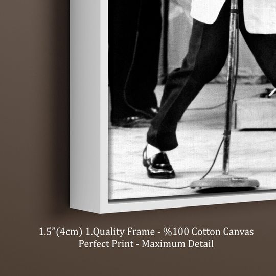 Elvis Presley  Rock and Roll Canvas Wall Art Print