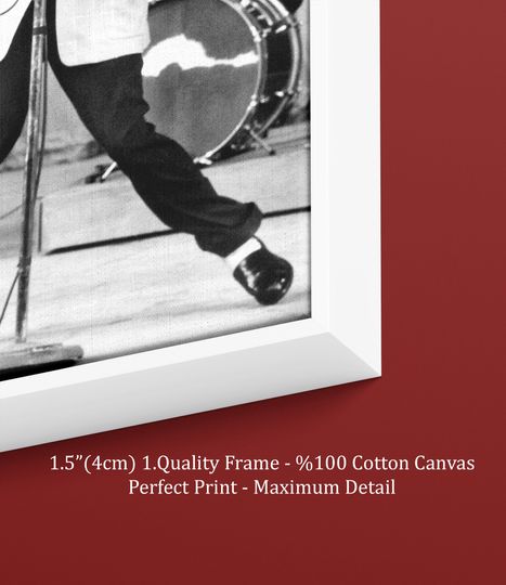Elvis Presley  Rock and Roll Canvas Wall Art Print