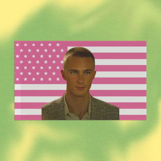 Drew Starkey Pink Flag, Wall decor, Room decor, Gift for her, Present, Rafe Cameron