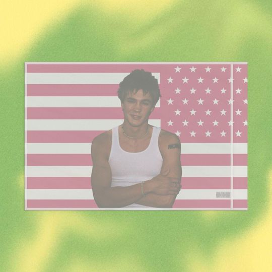 Chad Michael Murray Flag, Polyester Organza Dorm Decor