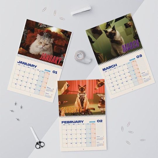 The Life Of A Show Cat 2026 Wall Calendar, Cute Cat Calendar 2026, Cat Mom Calendar
