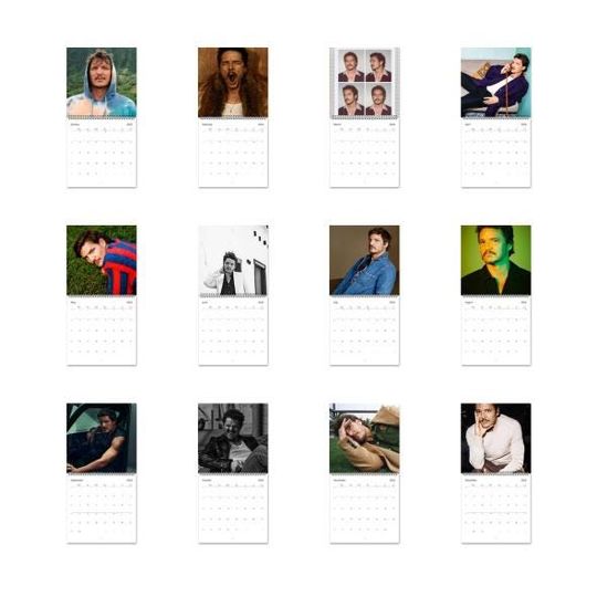 Pedro Pascal Calendar Vol.1 - 2025 Calendar, Wall Calendar 2025, Planner 2025, Pedro Pascal Gift