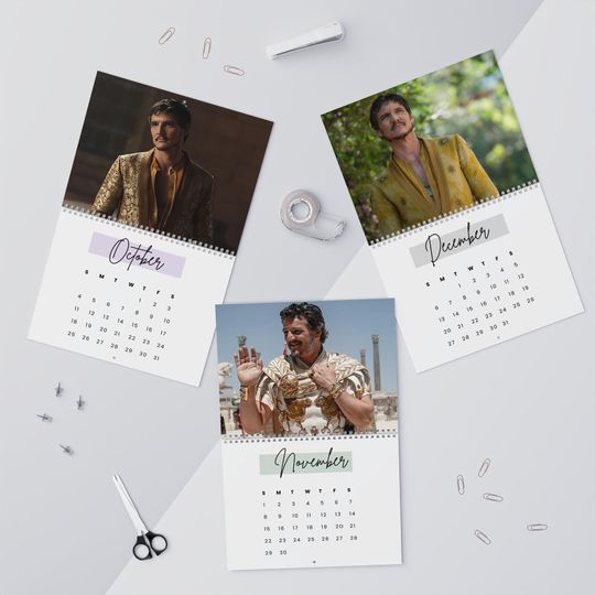 Pedro Pascal Wall Calendar 2026 - Monthly Organizer, Room Decor, Celebrity Fan Gift