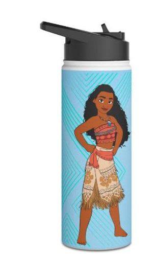 Moana themed Stainless Steel Water Bottles Standard Lid