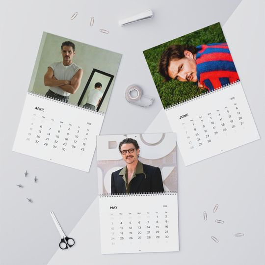 Pedro Pascal 2026 Wall Calendar, Pedro Pascal Fan Gift, The Internets Favourite Daddy