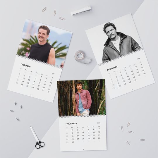 Pedro Pascal 2026 Wall Calendar, Pedro Pascal Fan Gift, The Internets Favourite Daddy
