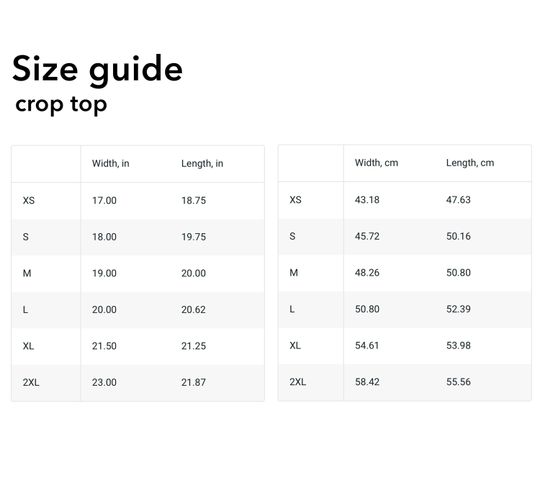 Kendrick Lamar tour crop top