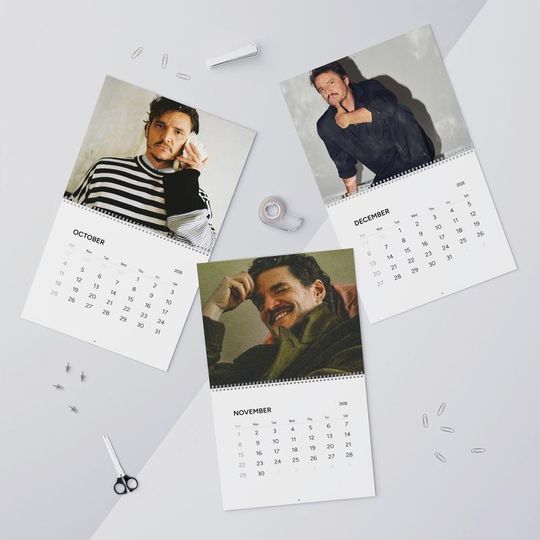 Pedro Pascal 2026 Calendar, Celebrity Crush Monthly Planner, Funny Wall Calendar Gift for Fans, Pop Culture Home Decor, Holiday Gift Idea