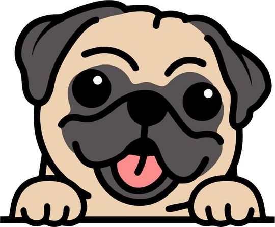 Cute cool Pug fawn Peeking Peek Peekabo Peekers Bumper Window Vinyl Decal Cute Puppy Funny Stickers