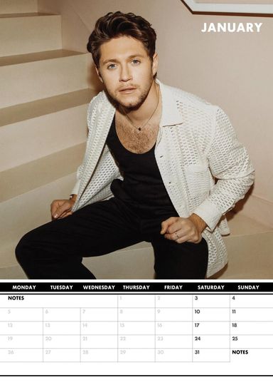 Niall Horan 2026 Wall Calendar