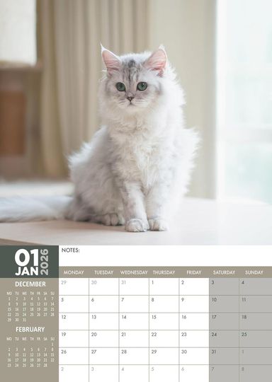 Persian Cat Photography 2026 Wall Calendar