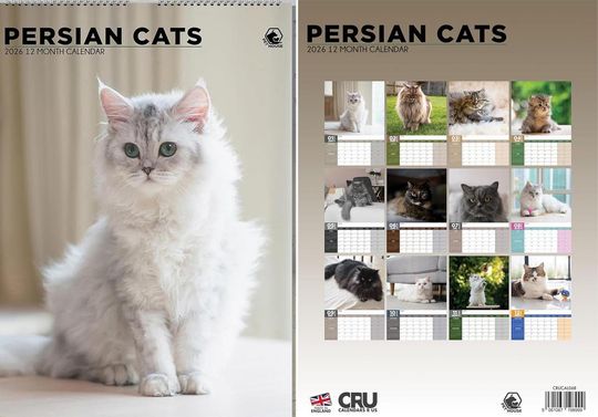 Persian Cat Photography 2026 Wall Calendar