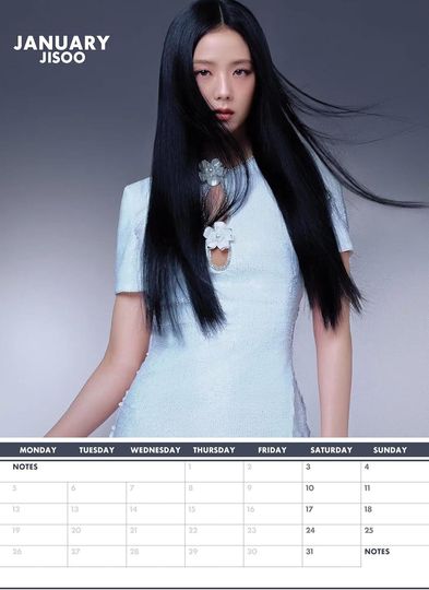 2026 Black Pink Wall Calendar