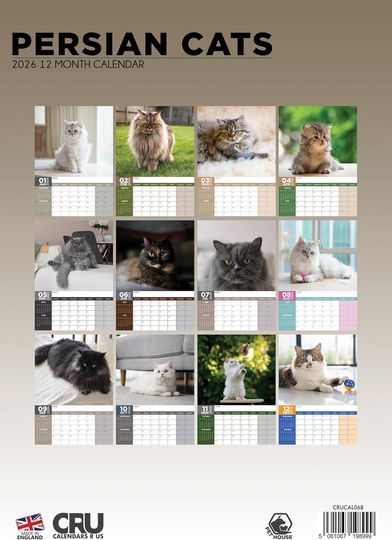 Persian Cat Photography 2026 Wall Calendar