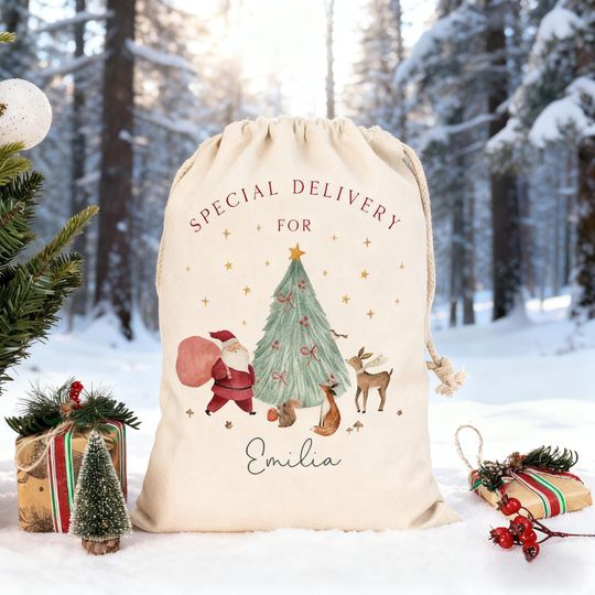 Traditional Sack, Baby First Christmas Santa Sack, Large Christmas Toy Sack, Custom Santa Sack,My first Christmas Sack,Family Christmas Gift