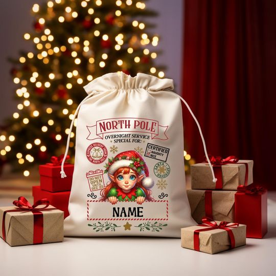 Personalized Santa Sack  North Pole Delivery Bag  Multiple Characters  Custom Name Gift Bag