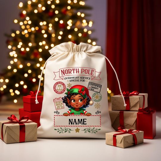 Personalized Santa Sack  North Pole Delivery Bag  Multiple Characters  Custom Name Gift Bag