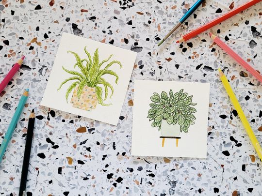 2026 House Plants Desk Calendar Refill Watercolor Illustrations