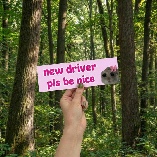 New Driver Please Be Nice Bumper Sticker