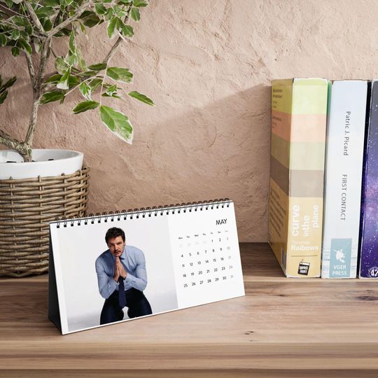 2026 Desk Calendar - All About Pedro Pascal