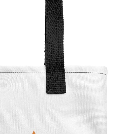 The Bag of a Teacher