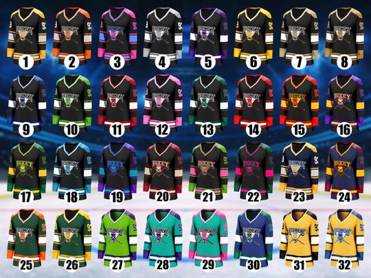 Custom Ice Hockey Jersey Personalized Team Name and Number Long Sports Uniform