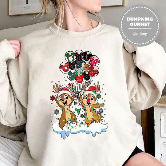 Chip and Dale Sweatshirt, Disney Christmas Sweatshirt