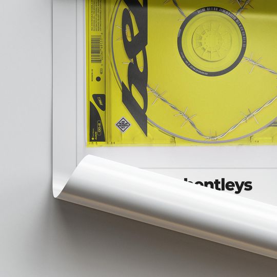 Post Malone Poster: 'Beerbongs & Bentleys' Album CoverPoster