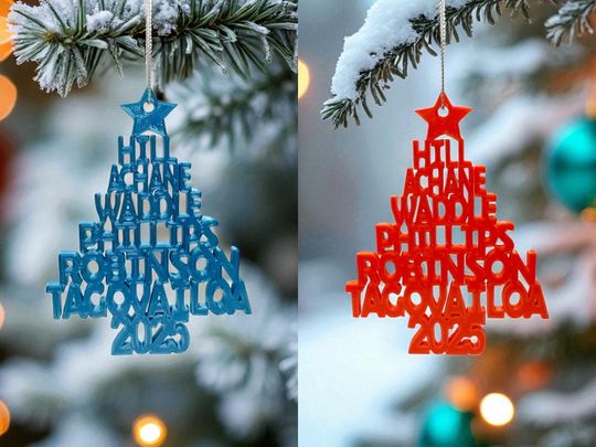 2025 Miami Dolphins 3D Printed Acrylic Christmas Tree Ornament