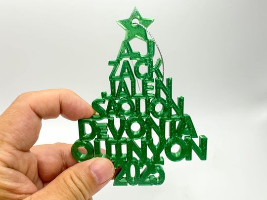 2025 Philadelphia Eagles 3D Printed Christmas Tree Ornament